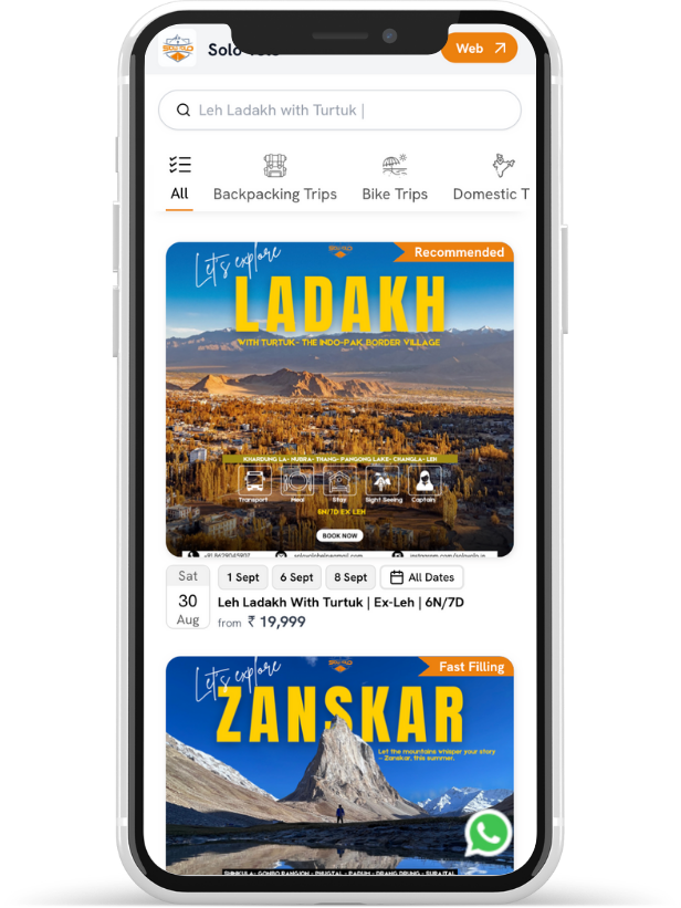Solo Wanderer on Airlink